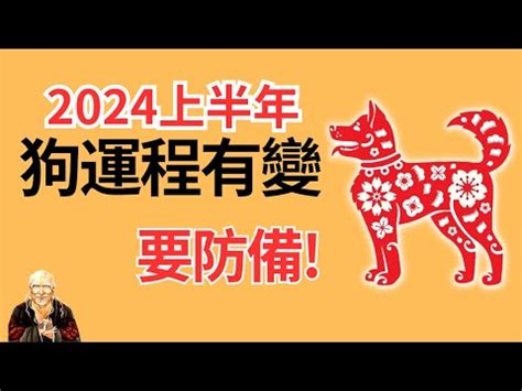 1982 屬狗|生肖狗: 性格，愛情，2024運勢，生肖1994，2006，2018